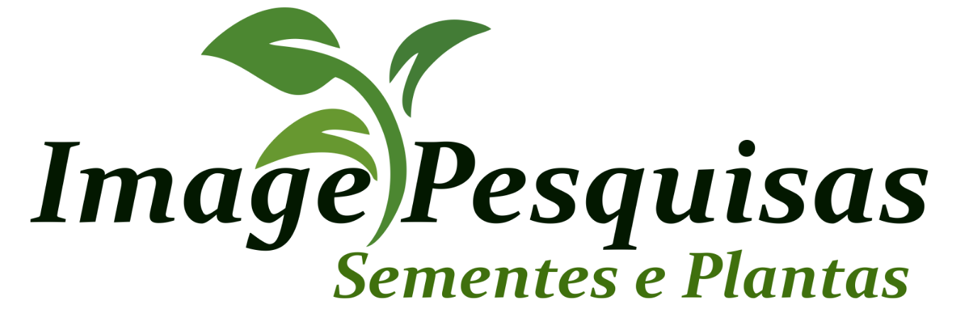 IMAGE PESQUISA
